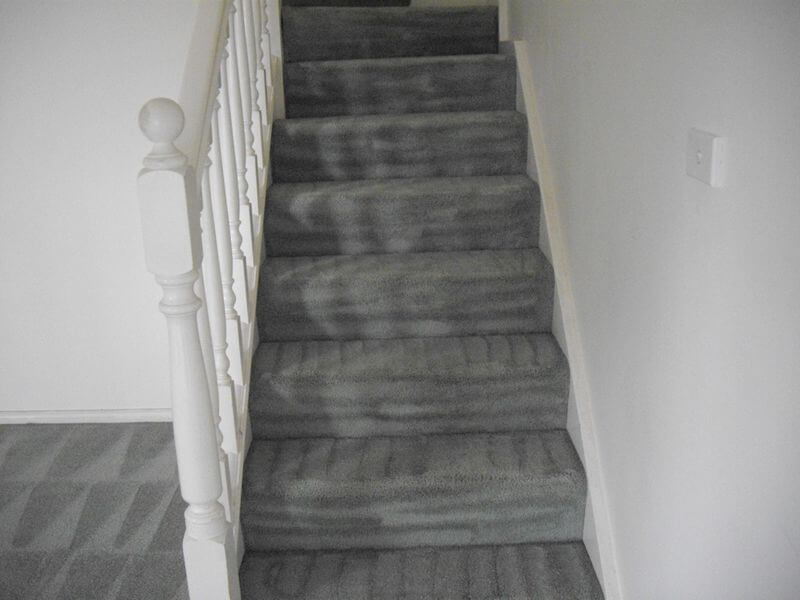 Steam Cleaning Mick's Carpet Cleaning Ballarat